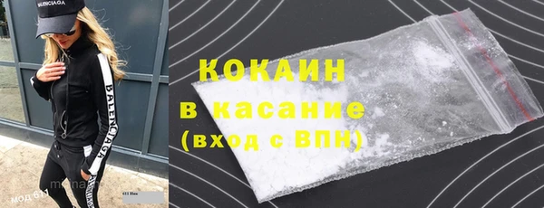 spice Богородск