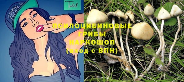 молекула духа Беломорск
