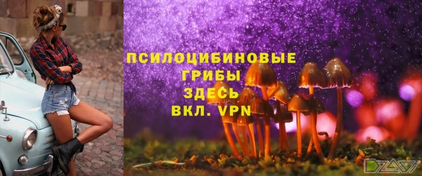 spice Богородск
