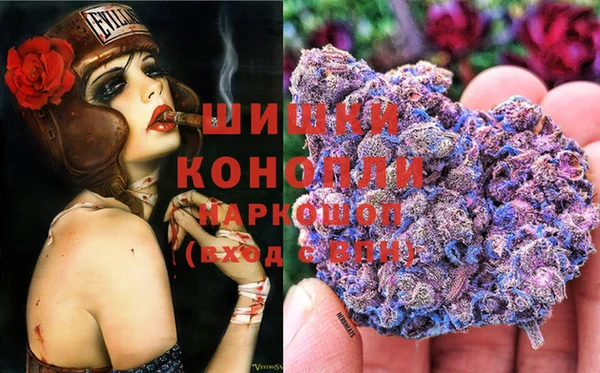а пвп мука Богданович