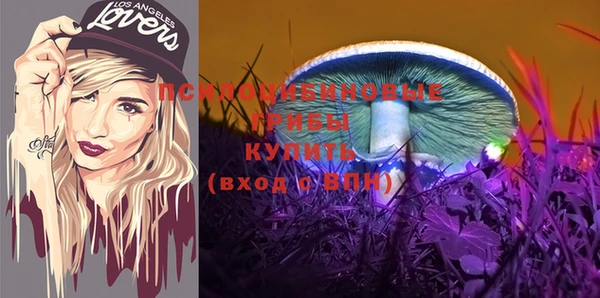 а пвп мука Богданович