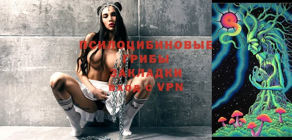 а пвп мука Богданович
