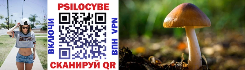 Купить где  Выкса  Псилоцибиновые грибы мицелий 